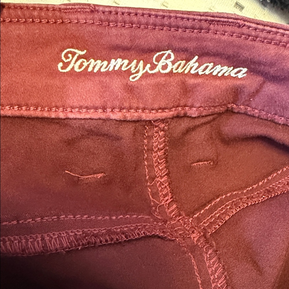 Tommy Bahama Sz 12/28 Burgundy Pants stretch - Picture 3 of 6